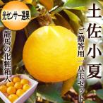 こなつ 土佐小夏 ご贈答用18玉セット 高知産 ご贈答用 Lサイズ 光センサー選果 化粧箱入 送料無料 小夏 ニューサマーオレンジ 日向夏