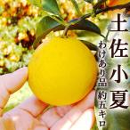 わけあり 土佐小夏 約5キロ 高知産 ご家庭用 Ｌ〜2Ｌサイズ 送料無料 小夏 こなつ ニューサマーオレンジ 日向夏 ギフト プレゼント フルーツ みかん