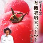  помидор Сугимото san. иметь машина культивирование большой шар помидор примерно 1.8kg бесплатная доставка иметь машина культивирование большой . блок производство иметь машина JAS одобрено пестициды не использование местного производства сахар раз помидор большой шар помидор безопасность безопасность подарок. .. поле 