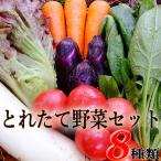 野菜セット たまご 同梱可 とれたて野菜 ８種類セット 高知産 レシピ・追加機能 送料無料 [Qv10] 詰め合わせ クール便 新鮮 葉物 根菜 香味