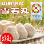 令和6年産 玄米5kg 山形県産雪若丸