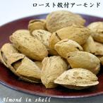 Yahoo! Yahoo!ショッピング(ヤフー ショッピング)ローストアーモンド（殻付き） 300g
