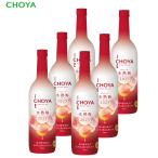 CHOYA ICE NOUVEAU 氷熟梅ワイン2025　720ml×6本 【送料無料】【数量限定】チョ-ヤ梅酒