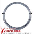 [12m cut товар ] санки nko Tour резец бриллиант черновой l1.20mm