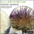 Hafod Grange - fo dog плита PAPER WEIGHT пресс-папье 