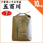 【超早場米・新米】 千葉県いすみ産 五百川 白米10kg 令和7年産 ※2025年7月26日より 出荷開始