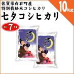 佐賀県白石町産 特別栽培米 七夕コシヒカリ 白米10kg(5kg×2袋) 令和7年産 新米 早場米 ※2025年8月9日より出荷開始