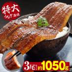 u.. угорь China производство очень большой примерно 350g × 3 хвост ..... рисовый шарик онигири угорь -слойный .. фарфоровая пиала угорь ... жарение вакуум упаковка подарок ваш заказ рефрижератор подарок 
