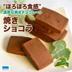 焼ショコラ チョコ 8個入 溶けにくい 沖縄美ら海水族館 オリジナルパッケージ