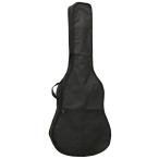 akogi кейс ARIA PB-AG Acoustic Guitarakogi для мягкий чехол гитара кейс 