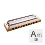 ホーナー ハーモニカ Am調 HOHNER Marine Band 1896 Classic Am 10ホールハーモニカ ブルースハープ ブルースハーモニカ