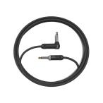 Planet Waves by D'Addario PW-AMSGRA-10 3.04m SL 楽器 ...