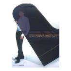  фортепьяно Solo соль ..[solo piano=solo salt] Yamaha музыка носитель информации 