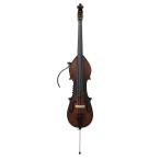 Landscape Land scape SWB-GAMBA AVC electric upright bass 