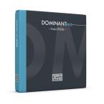 Thomastik Infeld Dominant Pro DP24 ドミナント プロ C線 タングステンシルバー ビオラ弦