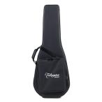 TAKAMINE Takamine SH-500 500 серии специальный полужесткий чехол 
