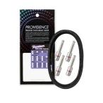 Providence Pro биде nsV206 model Vital Link Solderless Half Set 1m S type штекер ×4soruda- отсутствует кабель комплект 