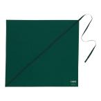 ヤマハ YAMAHA CLSL2 クリーニングスワブ Lサイズ