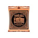 アーニーボール ERNIE BALL 2550 Everlast Coated PHOSPHOR BRONZE EXTRA LIGHT アコースティックギター弦