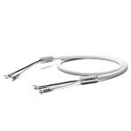 OYAIDE TUNAMI II SP-Y V2 1.5m Yラグ仕様 スピーカーケーブル