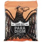 アーニーボール ERNIE BALL 2078 Paradigm P