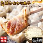 長崎 訳あり餃子 80個以上 (約600g×2袋) 冷凍餃子 詰め合わせ お取り寄せ 長崎名物 工場直売 【長崎中華本舗】