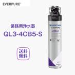 エバーピュア QL3-4CB5-S 浄水器 業務