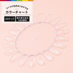  цвет chart ногти прозрачный овальный type прозрачный 20 цвет гель ногти цвет образец цвет образец 