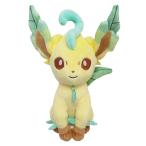 ぬいぐるみ  ポケットモンスター ALL STAR COLLECTION PP123 リーフィア S