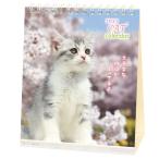 2027 Calendar настольный календарь 2027 год little кошка ske Jules .. животное фотография вписывание интерьер . мир 9 год календарь 