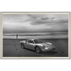デザイナーズアート B＆W PHOTOGRAPHY Dino 206/246 ディーノ インテリア雑貨 写真 アート 額付き 90×54×5cm