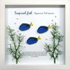 アクアフレーム インテリア 額装品 Aqua Frame Blue Tang 美工社 22×22×2cm