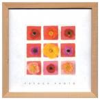 フレンチフォトグラフィー インテリア 写真 アート French Photography Nine Flower on nine squares 美工社