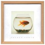 フレンチフォトグラフィー インテリア 写真 アート French Photography Fish in his Bowl 美工社
