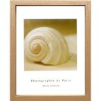 写真 アート フレンチフォトグラフィー Photographie de Paris Shell ZFP-52766 22.5×27.5×2cm