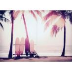 キャンバスアート インテリア 写真 アート Carino Canvas Art Surfboard and palm tree 700x500mm