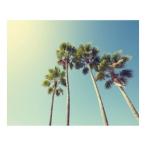 Yahoo! Yahoo!ショッピング(ヤフー ショッピング)キャンバスアート Petit Canvas Art パームツリー 500x400mm 美工社