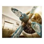 Yahoo! Yahoo!ショッピング(ヤフー ショッピング)キャンバスアート Petit Canvas Art 歴史あるプロペラ 500x400mm 美工社 ZPT-62076