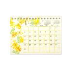 nami nami 2027 Calendar A6 настольный календарь 2027 год ske Jules Crows булавка 