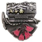 日本百名山 コレクションケース入り トレッキング ピンバッジ 登山 グッズ エイコー 八ヶ岳 イブシピンズクリスマス プレゼント 福袋 男の子 女の子
