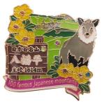  значок Япония 100 название гора 1 уровень булавка z Hachiman flat eiko- кейс для коллекции ввод треккинг Рождество подарок лотерейный мешок мужчина девочка подарок 