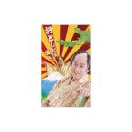 ポチ袋 マツケンサンバ ぽち袋小 2枚入り 松平健 おとしだまオレ！ お年玉袋 金封