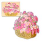 グリーティングカード 立体カード L