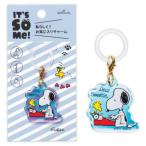  Snoopy It'sSoMe очарование Peanuts .... очарование герой пишущая машинка Япония отверстие Mark 