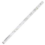 e........-. карандаш 2B круг ось около . новый . период подготовка канцелярские принадлежности симпатичный 