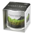  культивирование комплект g последний Moss S. новый керамика мох террариум 