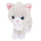ぬいぐるみS Kitten キトン アニマル ドール ねこ サンレモン 16.5cm CATクリスマス プレゼント 福袋 男の子 女の子 ギフト