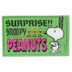  Snoopy товары магнит Peanuts герой da ikatto магнит удивлен 