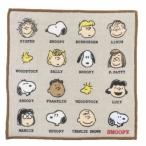  Snoopy Smart Mini полотенце носовой платок полотенце f линзы Peanuts герой товары 