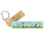  Snoopy товары кольцо для ключей Peanuts герой акрил палочка брелок для ключа большой 